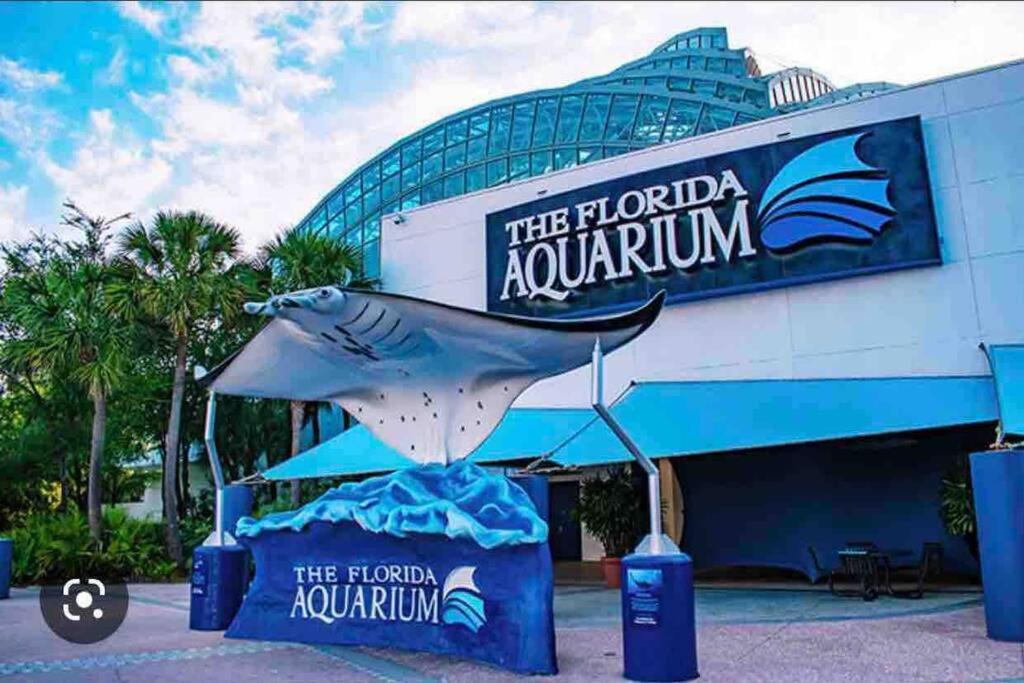 Minutes To Fairgrounds, Hard Rock, & Busch Gardens Villa Tampa Eksteriør bilde